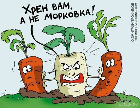 анекдоты про овощи