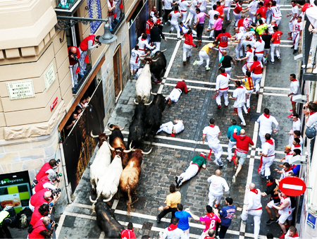 Праздники и фестивали быков