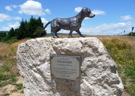 Памятники бездомным собакам