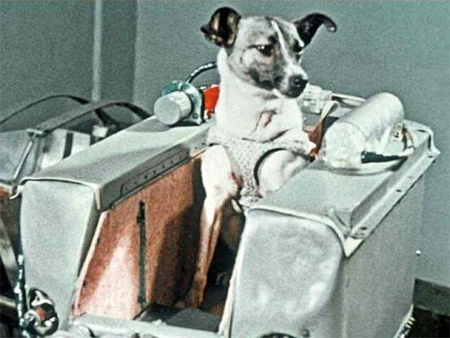 памтники собакам-космонавтам