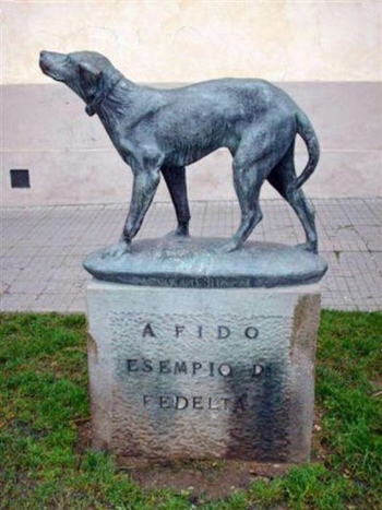 Памятник собака преданность