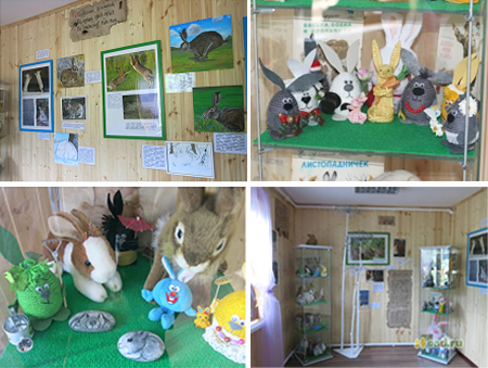 Музеи и парки кроликов