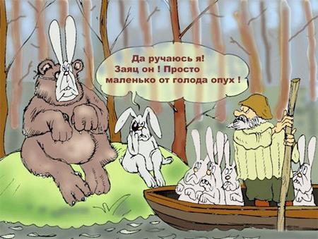 Анекдоты про кроликов и зайцев