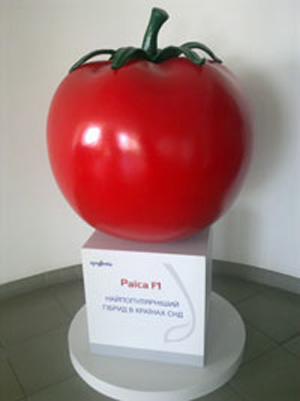 памятник помидору