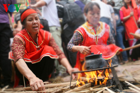 Праздники и фестивали риса