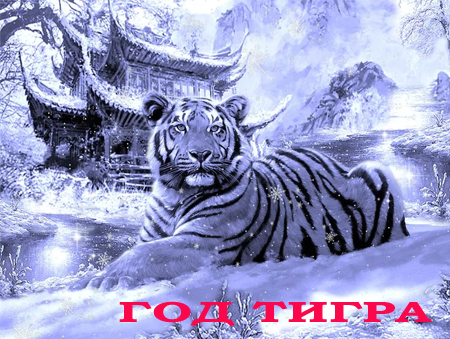 Праздники и фестивали тигров
