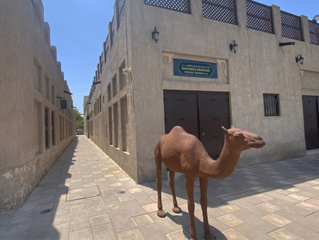 Музеи верблюдов