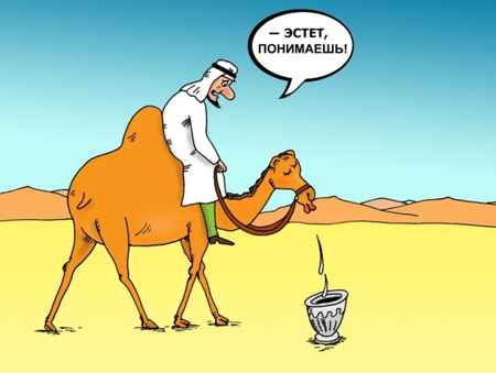 Анекдоты про верблюдов
