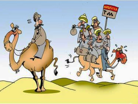Анекдоты про верблюдов
