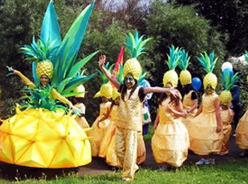 Фестиваль ананасов