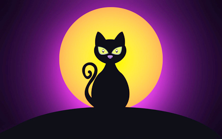 Кошки Приметы и суеверия