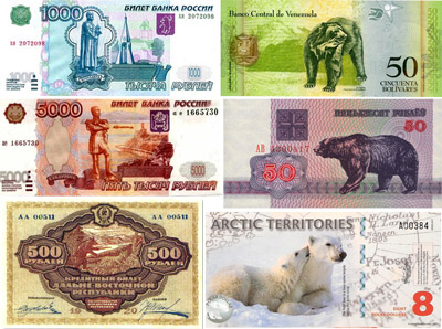 медведи на денежных купюрах