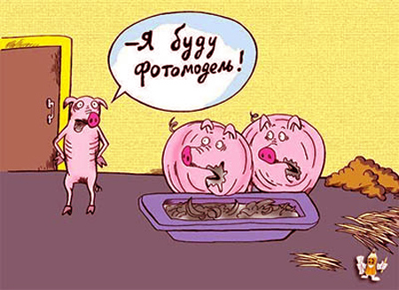 Анекдоты про свиней и кабанов